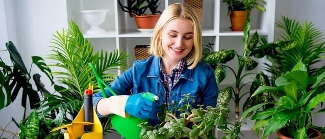 detox-home-and-body-with-indoor-plants
